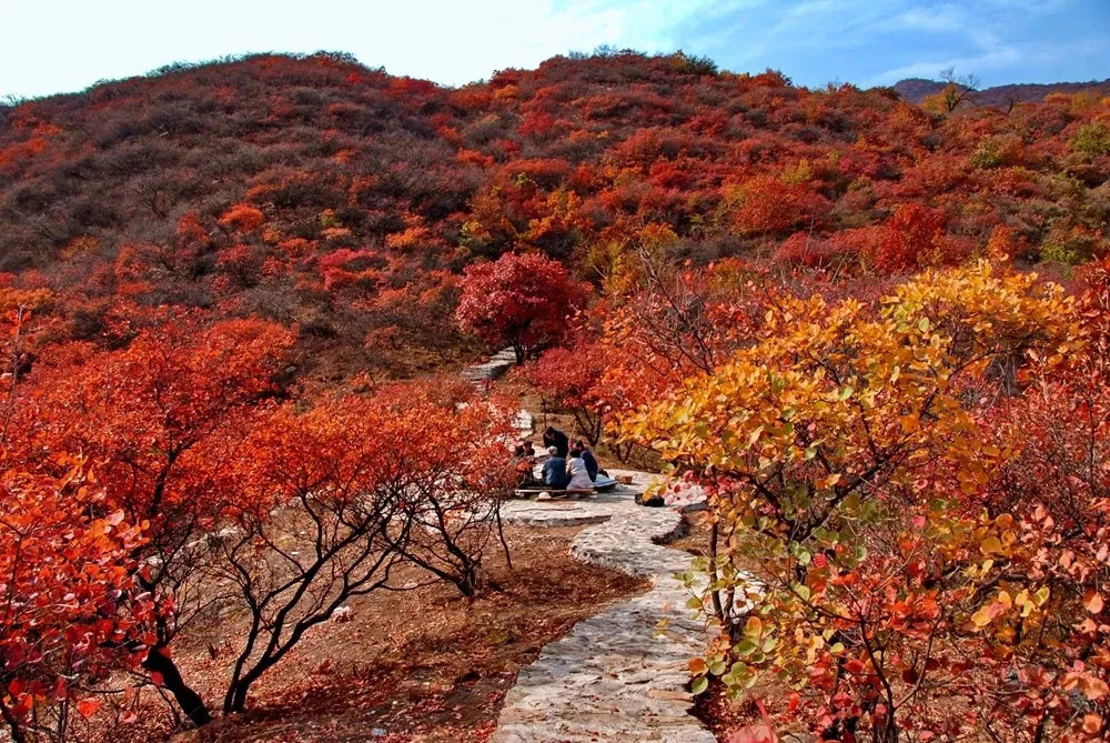 秋季赏红叶好去处之坡峰岭